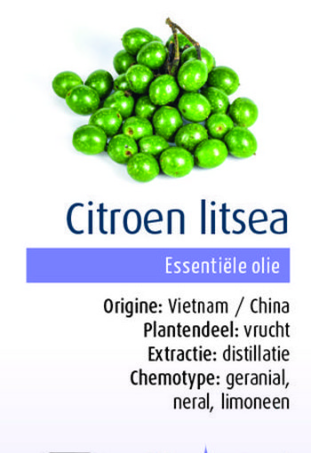 Physalis Citroenlitsea bio (10 Milliliter)