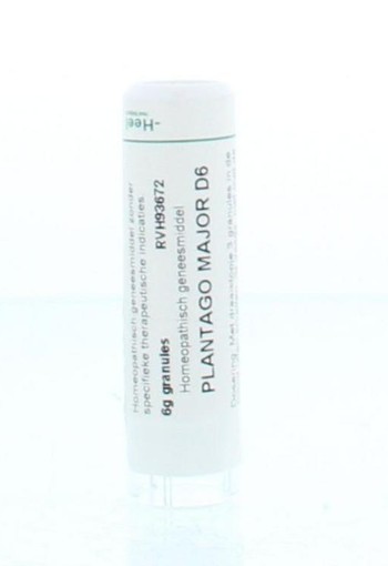 Homeoden Heel Plantago major D6 (6 Gram)